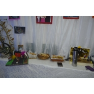 Expo Proyectos y Emprendimientos Empresariales 2017